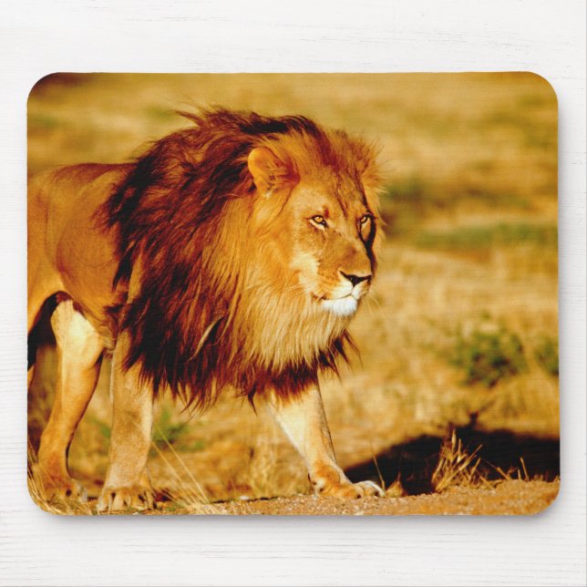 Mousepad Leão Solitário (Frente)