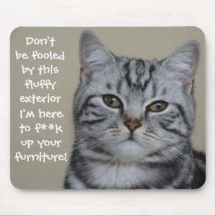 Mousepad Legenda de Gato Engraçada Mess up Mobiliário