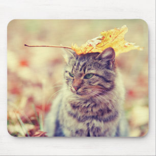 Mousepad Lei de Balanceamento de Folha de gatinho