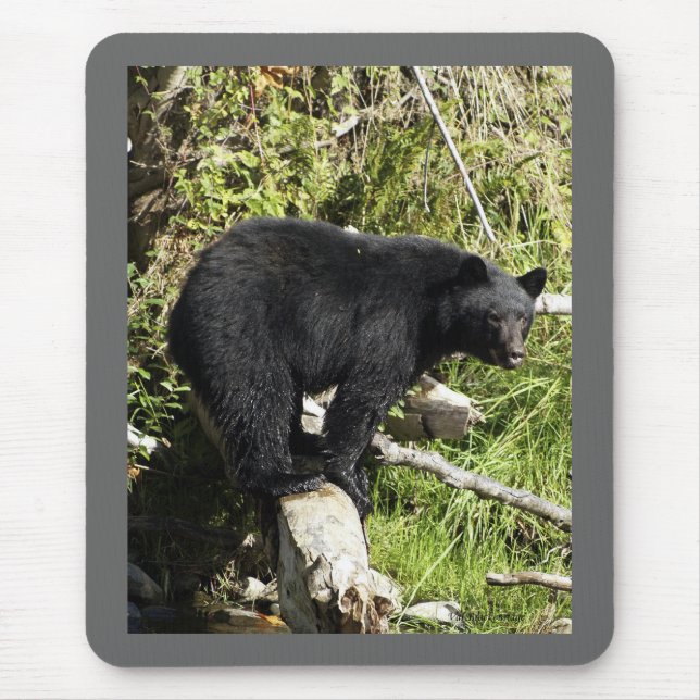 Mousepad "Lei de Balanceamento" Presentes do Black Bear (Frente)