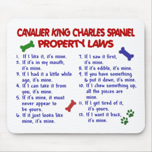 Mousepad Leis DESCUIDADOS 2 da propriedade do SPANIEL de
