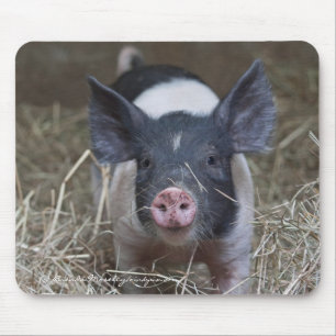 Mousepad Leitão na palha