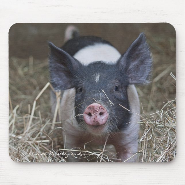 Mousepad Leitão na palha (Frente)