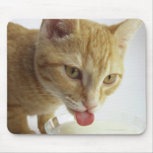 Mousepad Leite de bebendo do gato