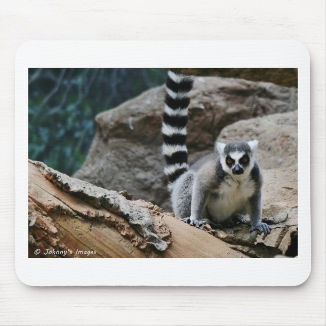 Mousepad Lemur atado anel (Frente)
