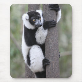 Mousepad Lemur preto e branco de Ruffed na árvore