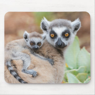 Mousepad Lêmure-de-cauda-anelada bebê nas costas da mãe