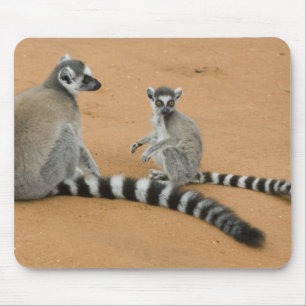 Mousepad Lêmures-de-cauda-anelada, (Lemur catta), Berenty