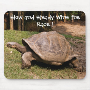 Mousepad Lento e constante tapete do rato da tartaruga