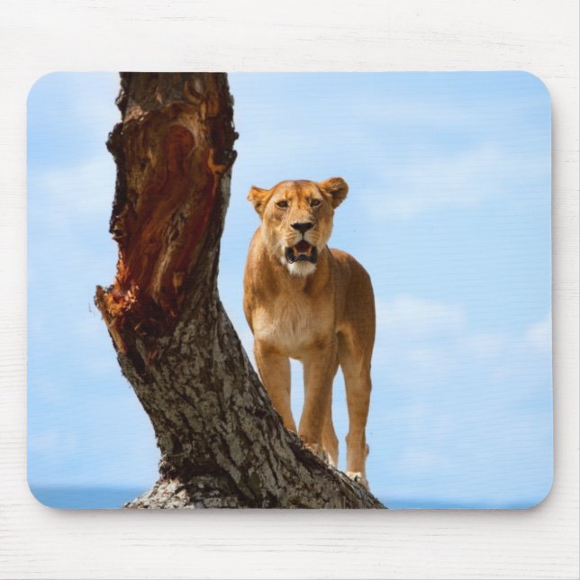 Mousepad Leoa (Frente)