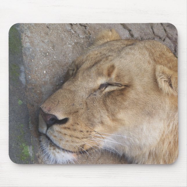 Mousepad Leoa Adormecida (Frente)