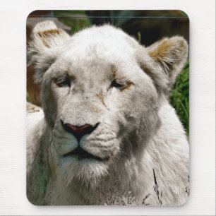 MOUSEPAD LEÕES BRANCOS