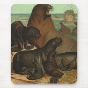 Mousepad Leões de mar na praia, animal do vintage da vida