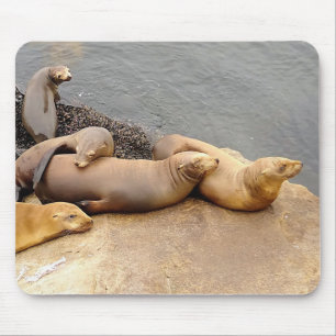 Mousepad Leões do Mar de Bebês