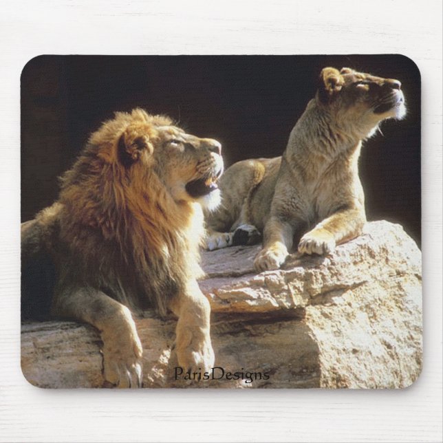 Mousepad Leões Kenya da selva (Frente)