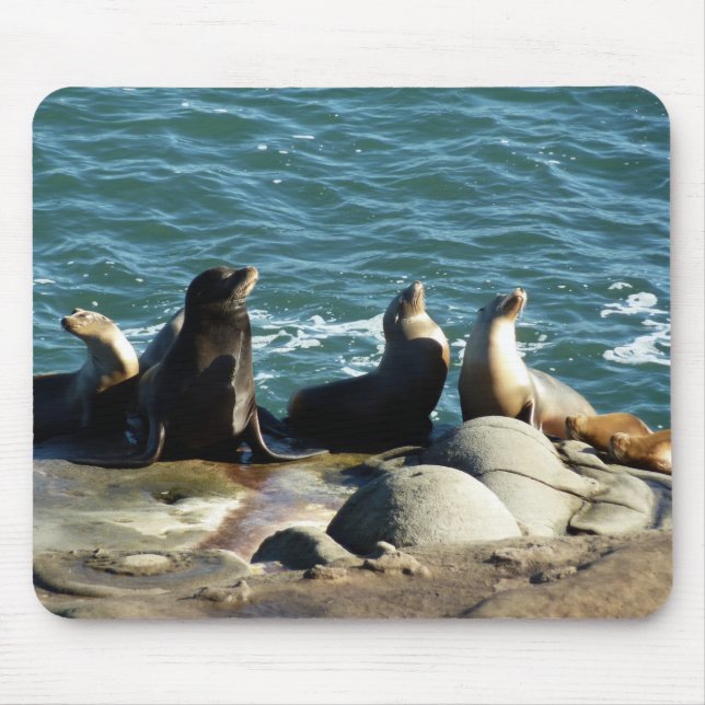 Mousepad Leões Marinhos de San Diego (Frente)