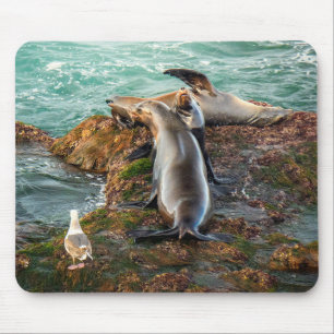 Mousepad Leões-Marinhos em Costa Rochosa – Arte de Vida Sel