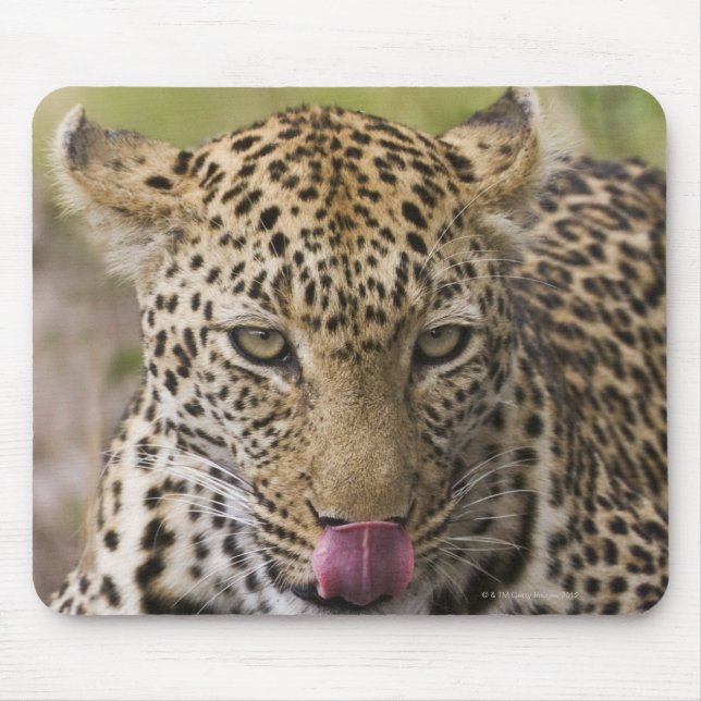 Mousepad Leopardo (Frente)