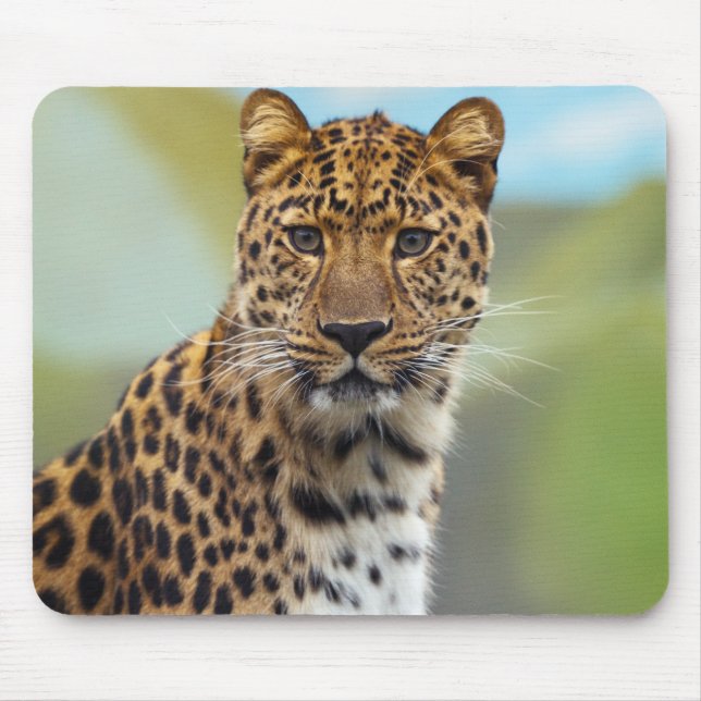 Mousepad Leopardo (Frente)