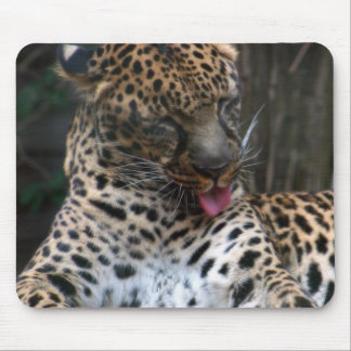 Mousepad Leopardo