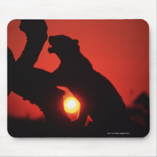 Mousepad leopardo