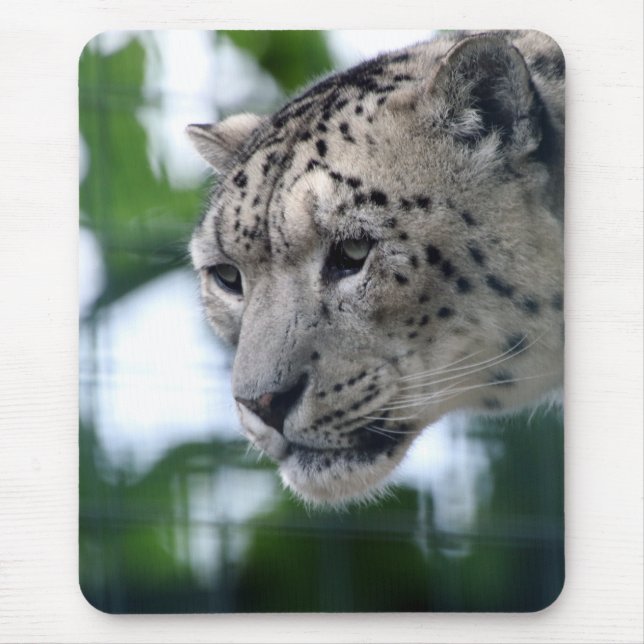Mousepad Leopardo 003 (Frente)