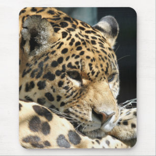Mousepad Leopardo 004