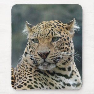 Mousepad Leopardo 006