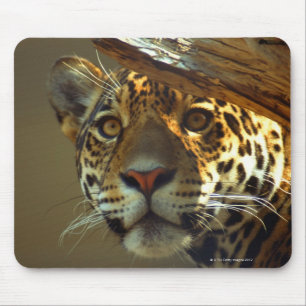 Mousepad leopardo 2