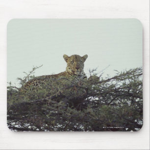 Mousepad Leopardo africano