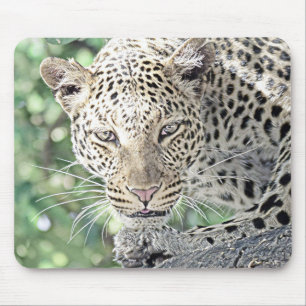 Mousepad leopardo-animal smartmix 2