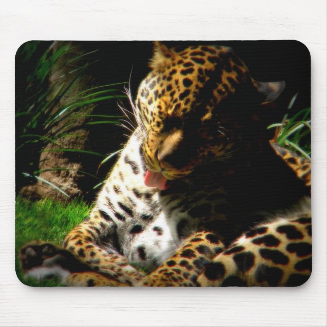Mousepad Leopardo-balneário (Frente)