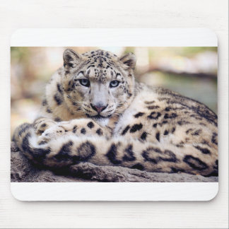 Mousepad Leopardo de Neve