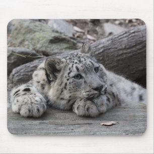Mousepad Leopardo de neve furado Cub