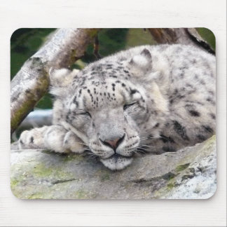 Mousepad Leopardo de Neve - lindo!