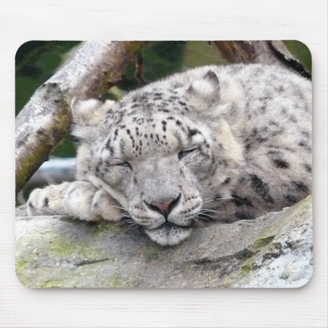Mousepad Leopardo de Neve - lindo! (Frente)