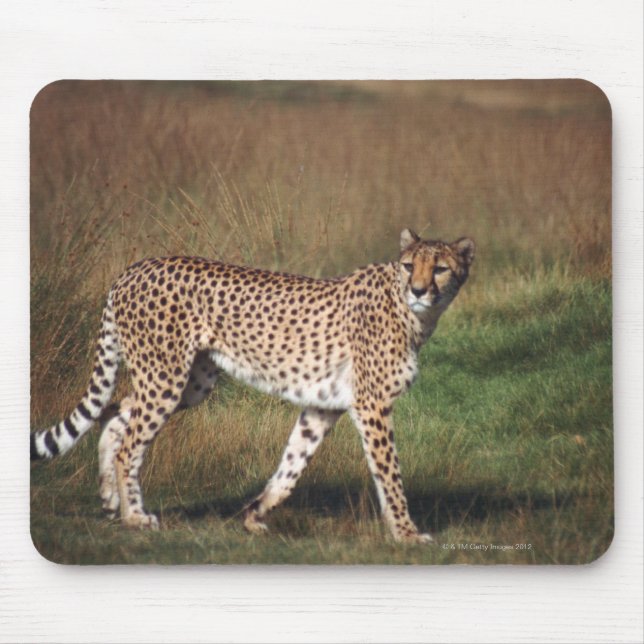 Mousepad Leopardo em planície (Frente)