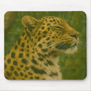 Mousepad Leopardo em repouso na configuração de santuário