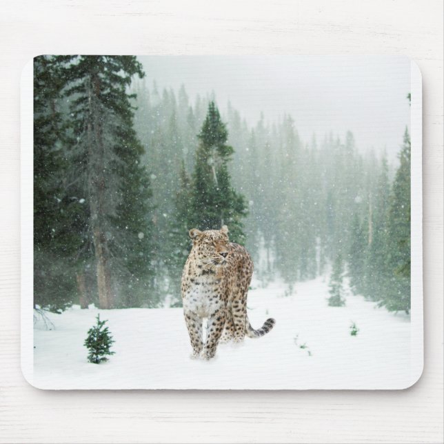 Mousepad Leopardo Persa de Neve na Neve (Frente)