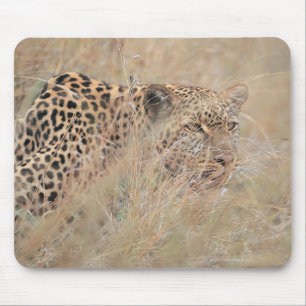 Mousepad Leopardo-propulsor a Esconder-se em Grassland