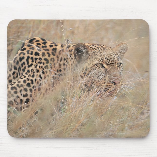Mousepad Leopardo-propulsor a Esconder-se em Grassland (Frente)