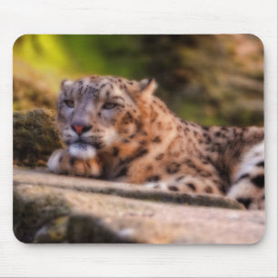 Mousepad Leopardo solto