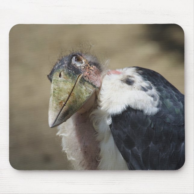 Mousepad Leptoptilos crumeniferus (Frente)