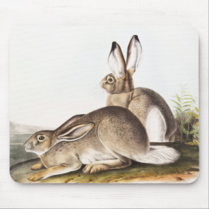 Mousepad Lepus Townsendii (Lepus Townsendii)