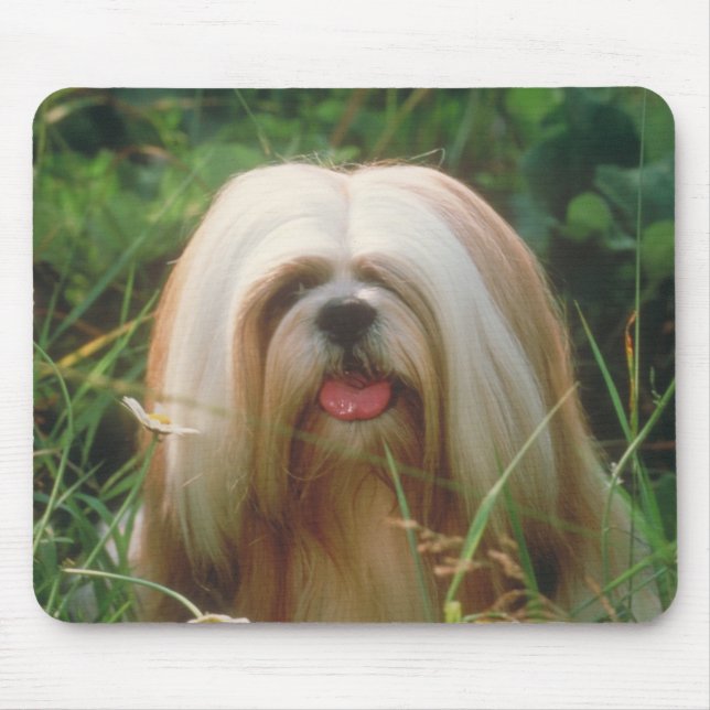 Mousepad Lhasa Apso (Frente)