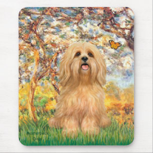 Mousepad Lhasa Apso 9 - Primavera