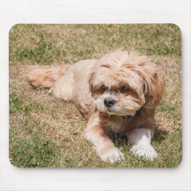 Mousepad Lhasa Apso cão (Frente)