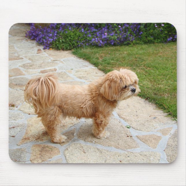 Mousepad Lhasa Apso cão num jardim (Frente)