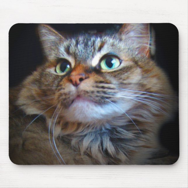 mousepad libby do gato (Frente)