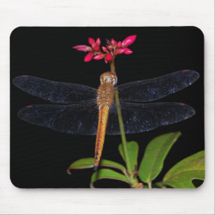 Mousepad Libélula